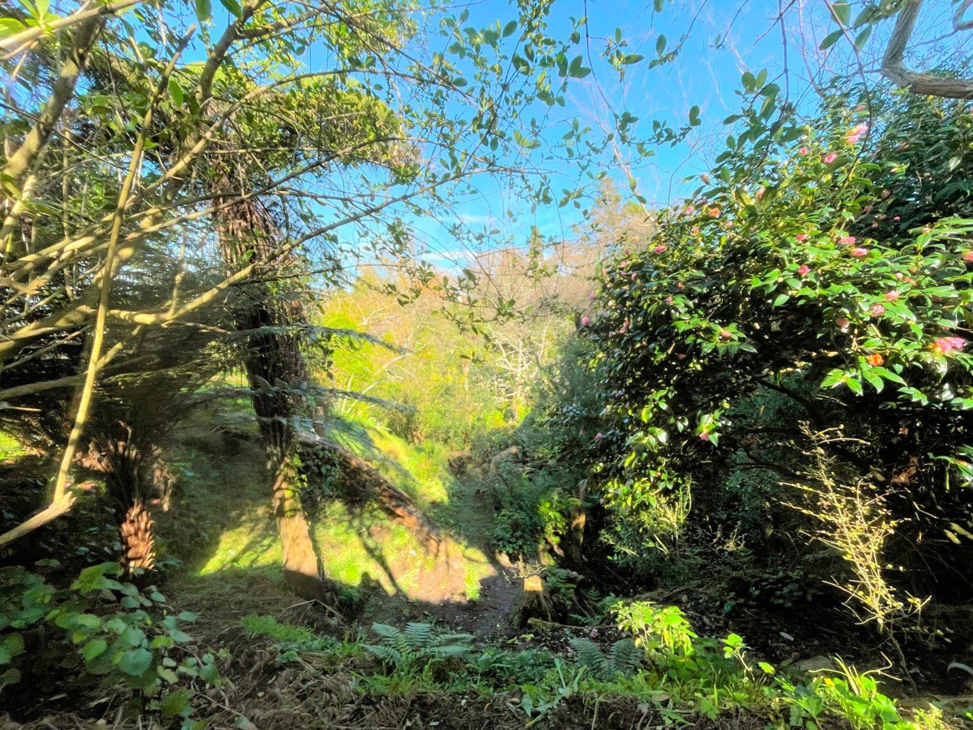 Gully Hideaway Apartment Χάμιλτον Εξωτερικό φωτογραφία