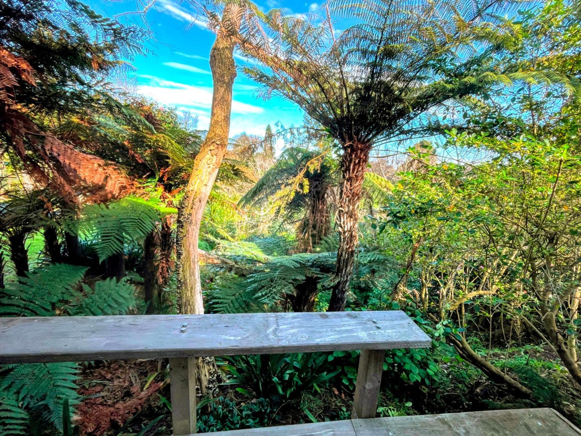 Gully Hideaway Apartment Χάμιλτον Εξωτερικό φωτογραφία