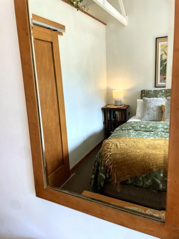 Gully Hideaway Apartment Χάμιλτον Εξωτερικό φωτογραφία